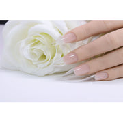 Red Iguana LLC Crystal Clear Builder Builders