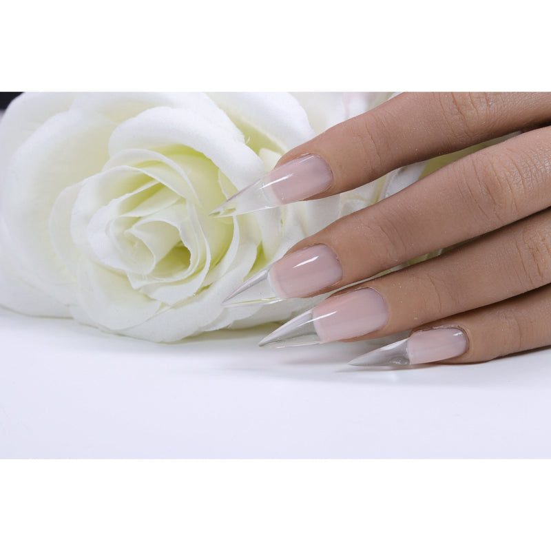 Red Iguana LLC Crystal Clear Builder Builders