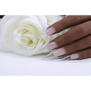 Red Iguana LLC Crystal Clear Builder Builders