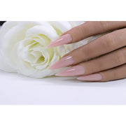 Red Iguana LLC Beige Builder Gel Builders