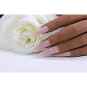 Red Iguana LLC Beige Builder Gel Builders