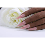 Red Iguana LLC Cover Pink Light Builder Gel Builders