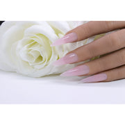 Red Iguana LLC Natural Pink Builder Gel Builders