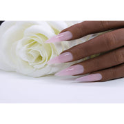 Red Iguana LLC Natural Pink Builder Gel Builders