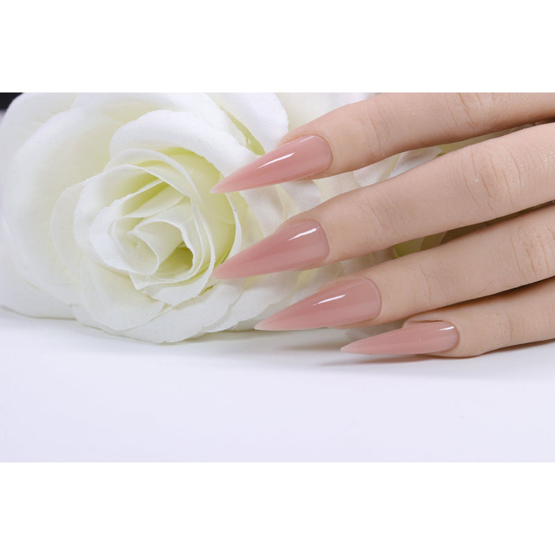 Red Iguana LLC Neutral Pink Builder Gel Builders