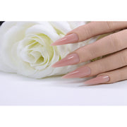 Red Iguana LLC Neutral Pink Builder Gel Builders