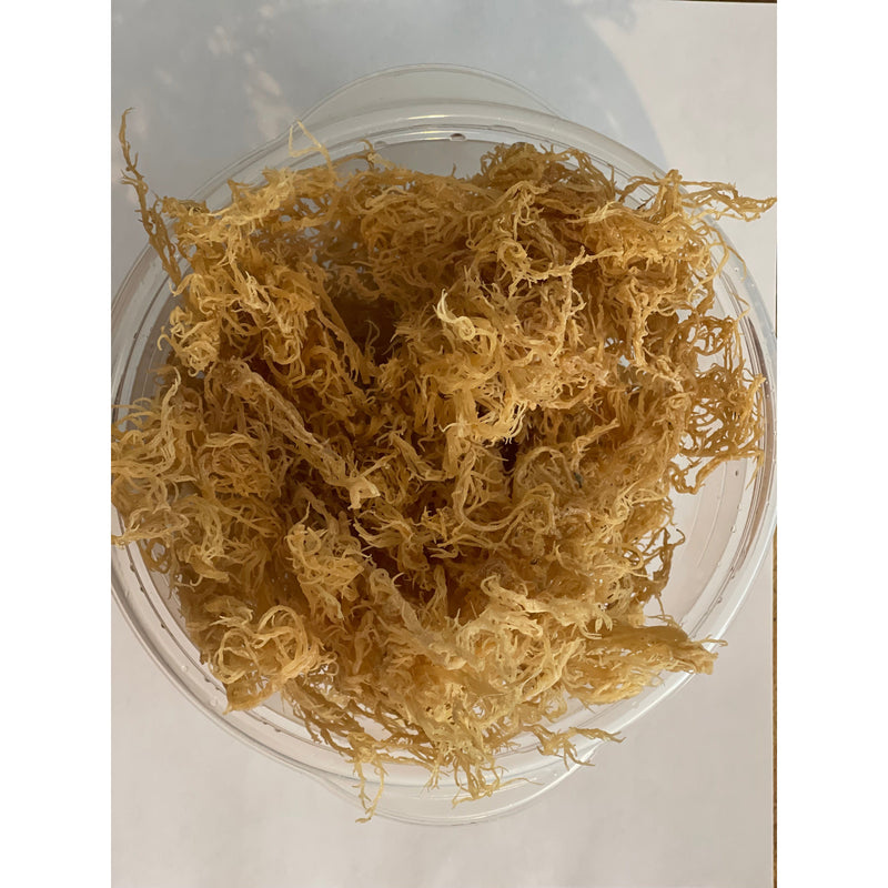 MG Windward Trading LLC Certified Pure Wild Harvested Organic Gold Raw Sea Moss Raw Sea Moss