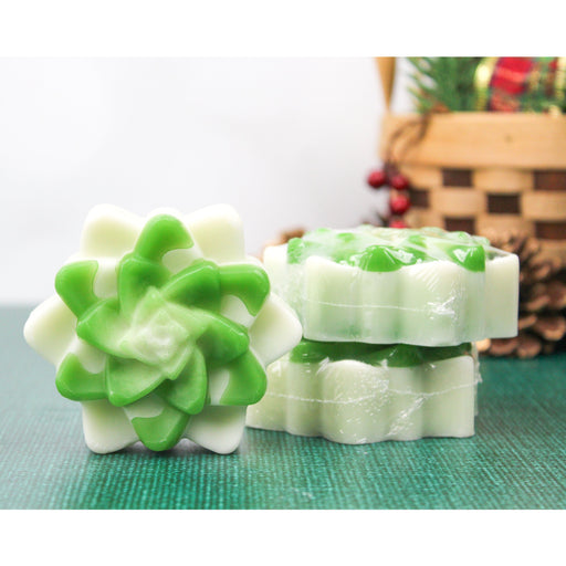 Holder Handmade - Frosted Fir Succulent Soap 3.2oz.