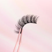 Pink Purée Lily