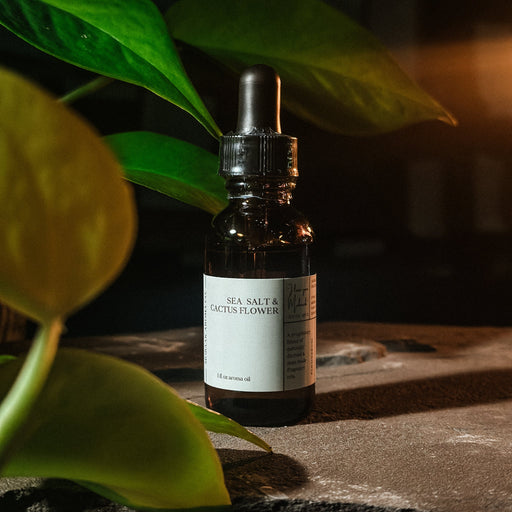 Mobaak Aromatherapy Shoppe Sea Salt & Cactus Flower Aroma Oil Aroma Oil