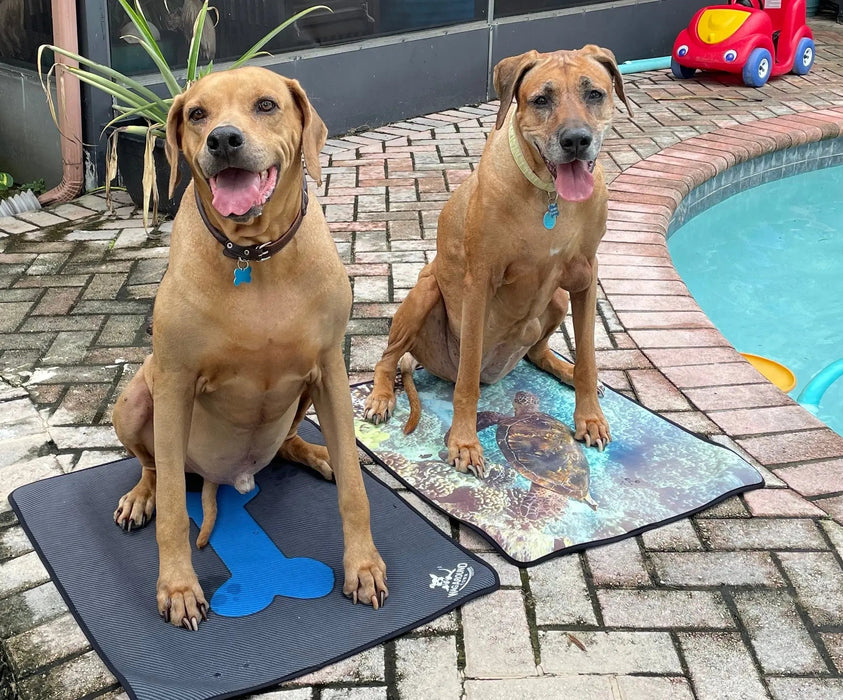 Dog Travel Mat- Perfect for dogs that love adventure!