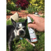 Warren London - Warren London - Dog Sunscreen With Aloe Vera Moisturizer