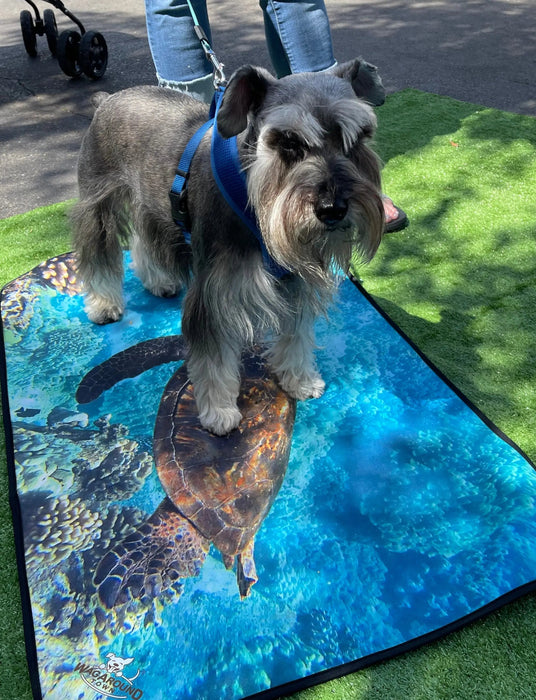 Dog Travel Mat- Perfect for dogs that love adventure!