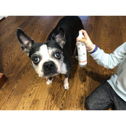 Warren London Dry & Waterless Deep Cleaning Shampoo Dog Shampoo