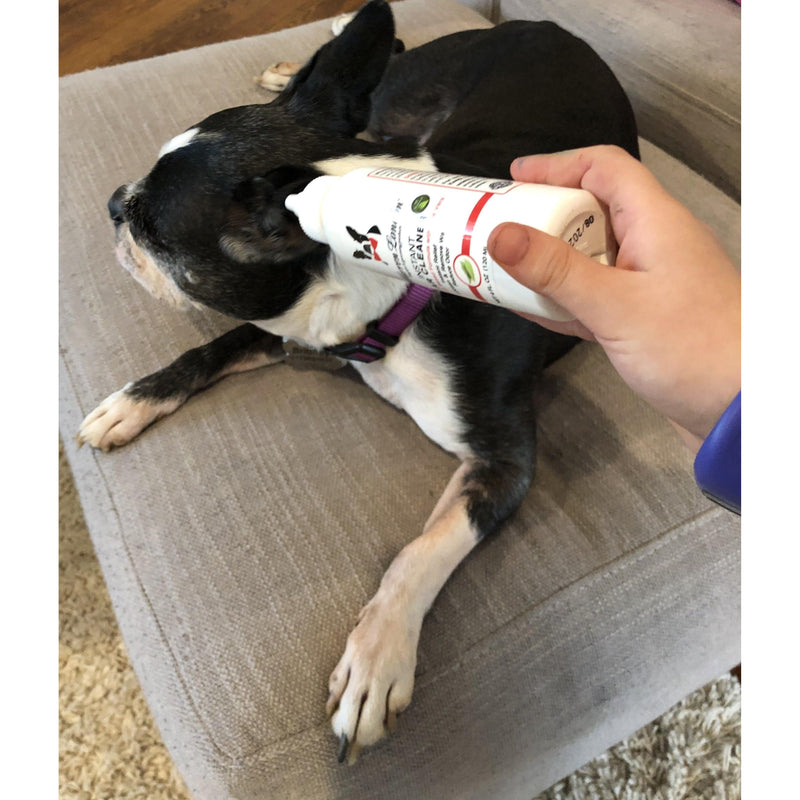 Warren London Instant Ear Cleaner For Dogs 4 oz or 12 oz - Removes Wax and Odor Spa Product