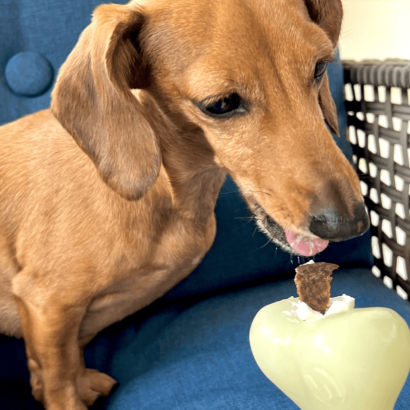 Farm To Pet Dog Treat Dispensers Treat Dispenser