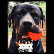 WACKYstore WUNDERball - Best Fetch Toy