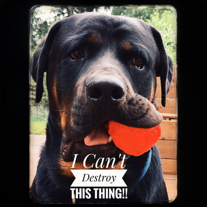 WACKYstore WUNDERball - Best Fetch Toy