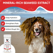 Warren London Deep Cleaning Paw Fizz Tablets - Soothes Itchy, Irritated Paws Spa Product