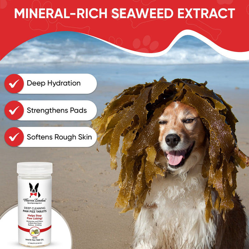 Warren London Deep Cleaning Paw Fizz Tablets - Soothes Itchy, Irritated Paws Spa Product