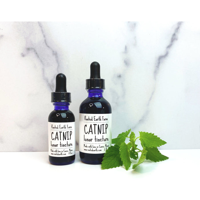 Catnip Tincture