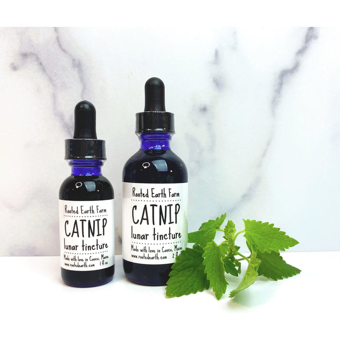 Catnip Tincture