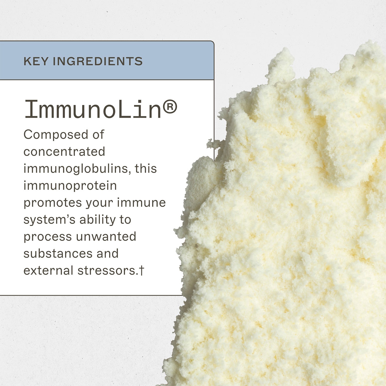 ImmuneIG — Pasteur Pharmacy