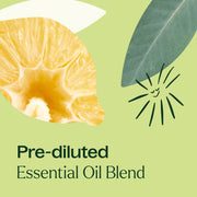 Plant Therapy Immune Aid Essential Oil Blend Pre-Diluted Roll-On Essential Oil