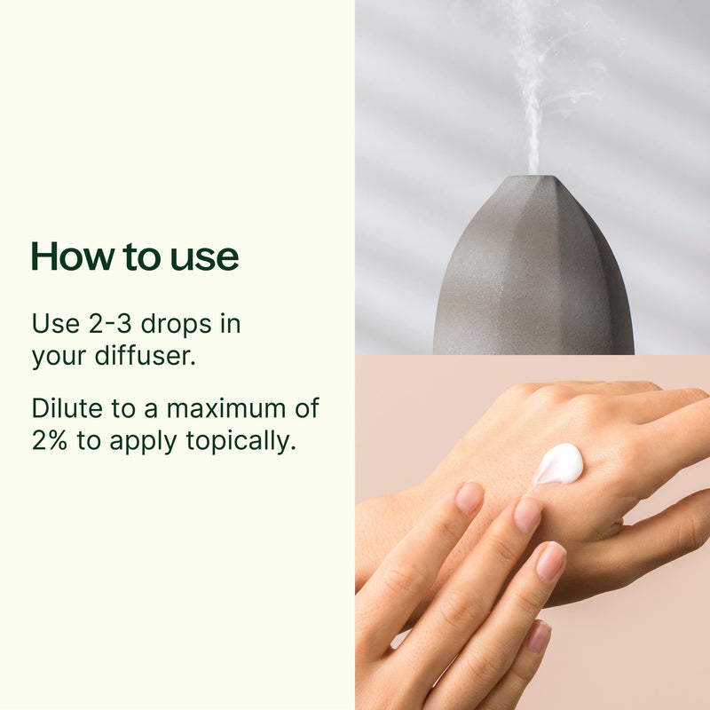 Plant Therapy Indian Sandalwood Essential Oil Essential Oil