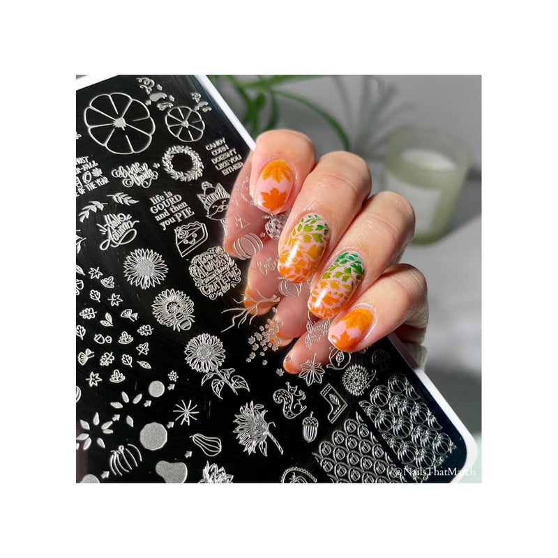 UberChic Beauty What A Wonder-Fall World Stamping Plate