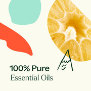 Plant Therapy Invigor Aid Essential Oil Blend Essential Oil Seashell 10 mL