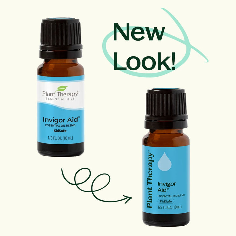 Plant Therapy Invigor Aid Essential Oil Blend Essential Oil