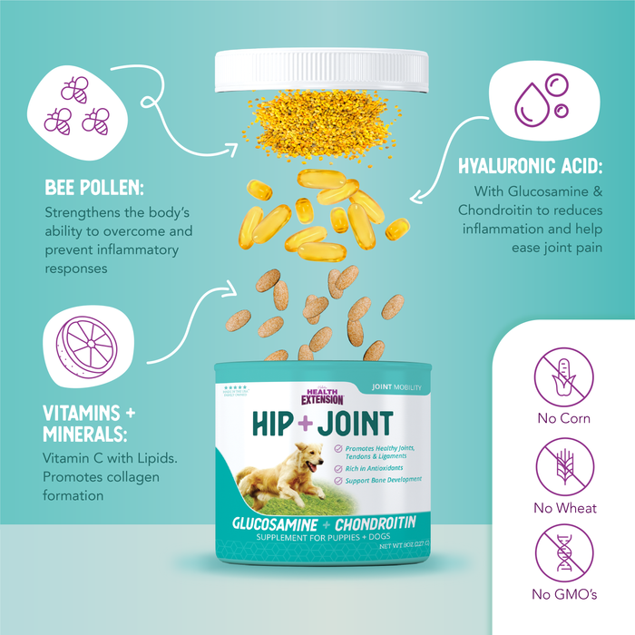 HIP + JOINT Mobility Supplement