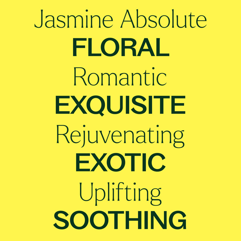Plant Therapy Jasmine Sambac Pure Absolute Pre-Diluted Roll-On Essential Oil