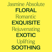 Plant Therapy Jasmine Sambac Pure Absolute Essential Oil