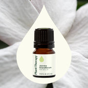 Plant Therapy Jasmine Grandiflorum Absolute Essential Oil