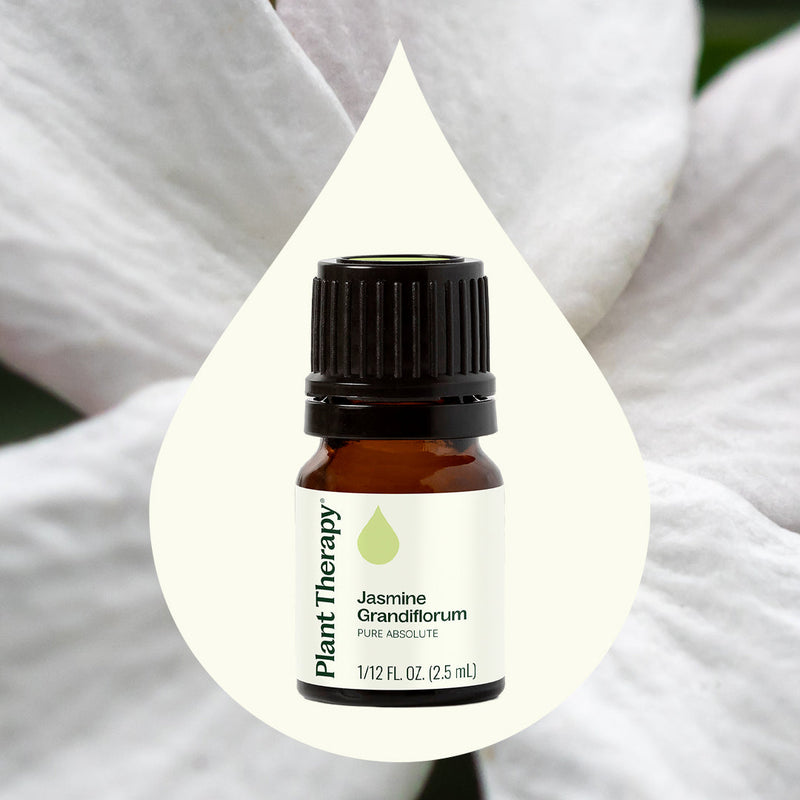 Plant Therapy Jasmine Grandiflorum Absolute Essential Oil