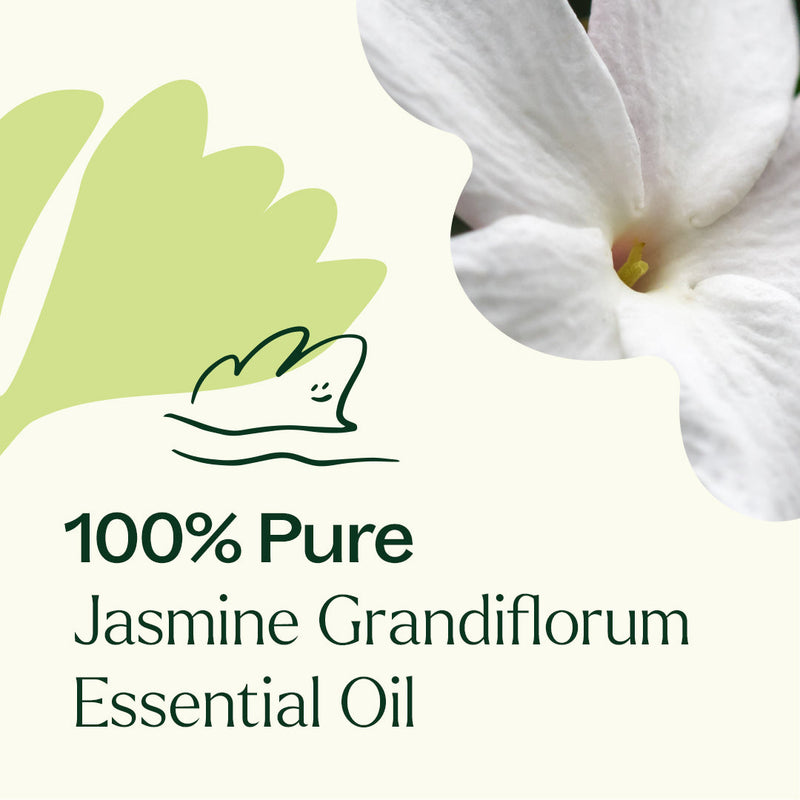 Plant Therapy Jasmine Grandiflorum Absolute Essential Oil