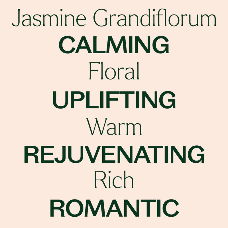 Plant Therapy Jasmine Grandiflorum Absolute Essential Oil