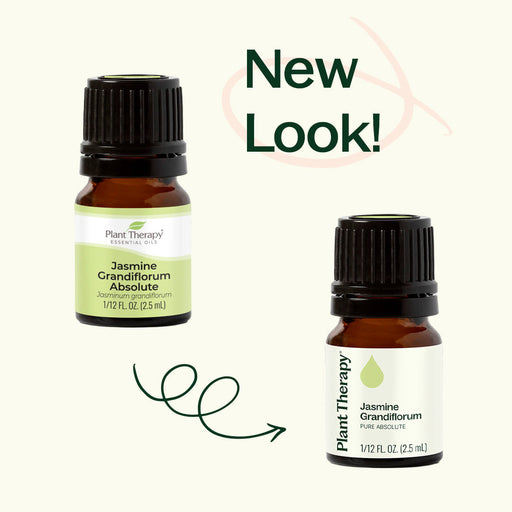 Plant Therapy Jasmine Grandiflorum Absolute Essential Oil
