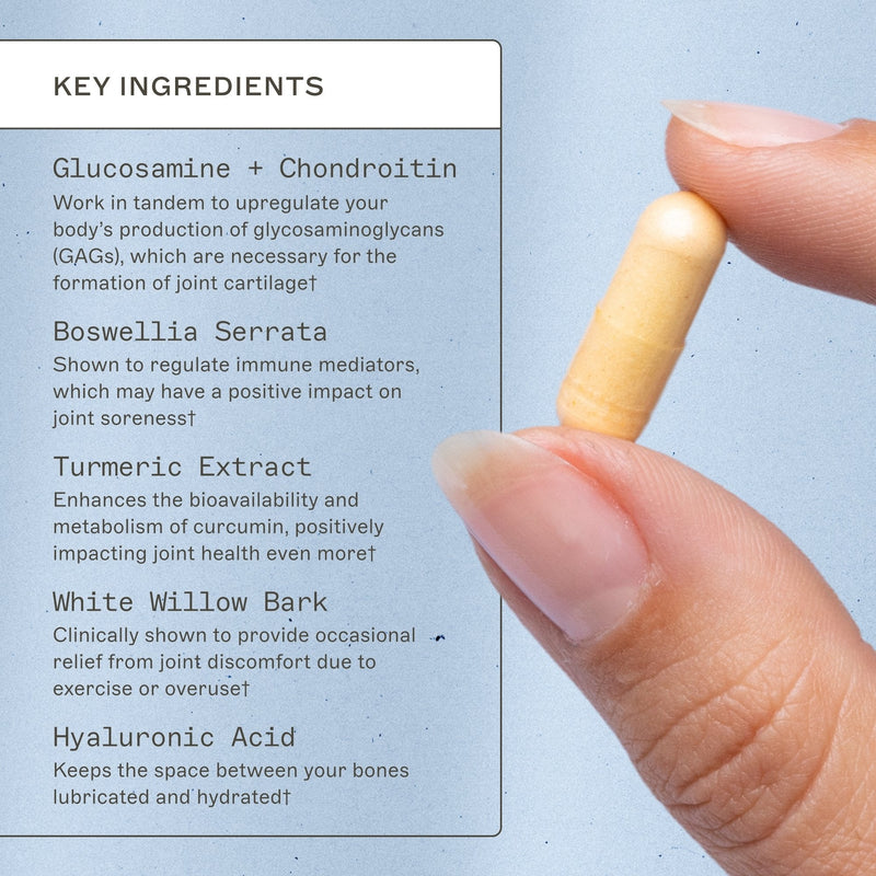 Joint Support Complex