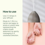 Plant Therapy Joyful Creation (Sacral Chakra) Essential Oil Essential Oil