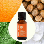 Plant Therapy Joyful Creation (Sacral Chakra) Essential Oil Essential Oil