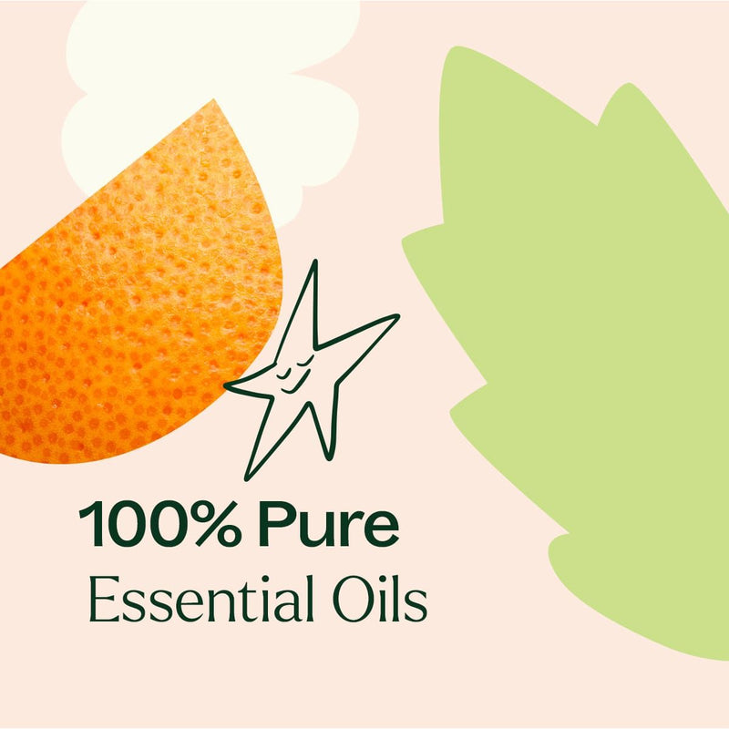 Plant Therapy Joyful Creation (Sacral Chakra) Essential Oil Essential Oil