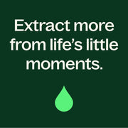 Plant Therapy Joyful Creation (Sacral Chakra) Essential Oil Essential Oil