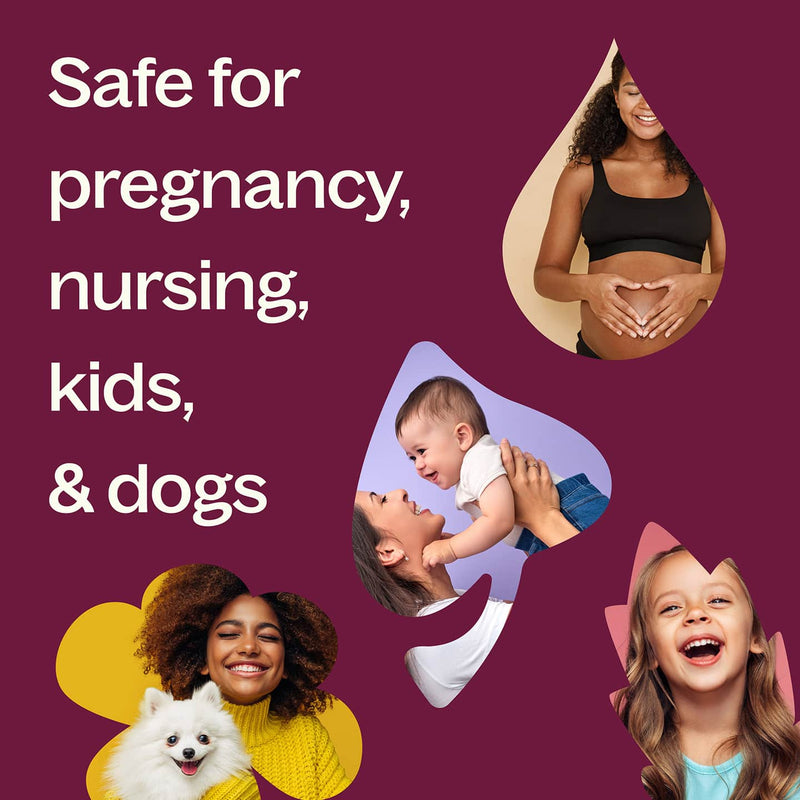 Plant Therapy Joyful Creation (Sacral Chakra) Essential Oil Essential Oil