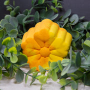 Fragrant Jewels Summer Daze - Candle and Bath Bomb Set Bundle (Candle & Bath Bomb)