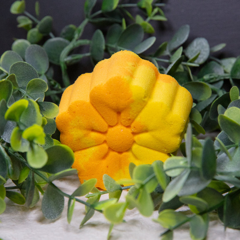 Fragrant Jewels Summer Daze - Candle and Bath Bomb Set Bundle (Candle & Bath Bomb)