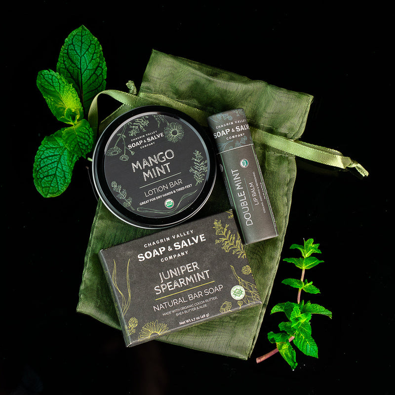 Chagrin Valley Soap & Salve Gift: Soap Sample with Lip Balm & Lotion Bar Gift