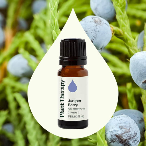 Plant Therapy Juniper Berry Essential Oil Essential Oil